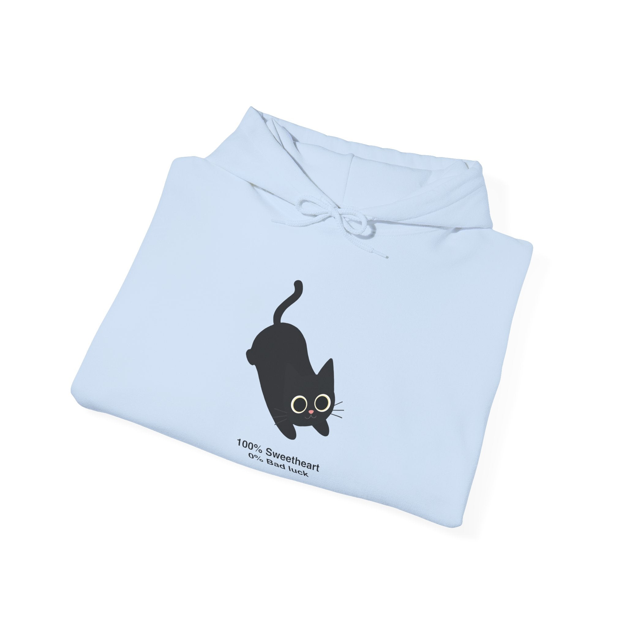 100% Sweetheart 0% Bad Luck Hoodie