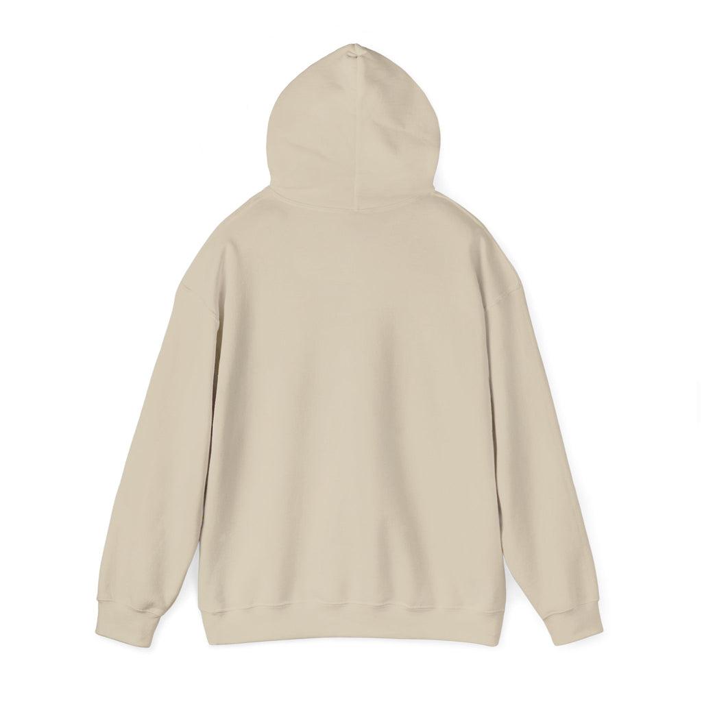 World's Best Cat Mom Hoodie