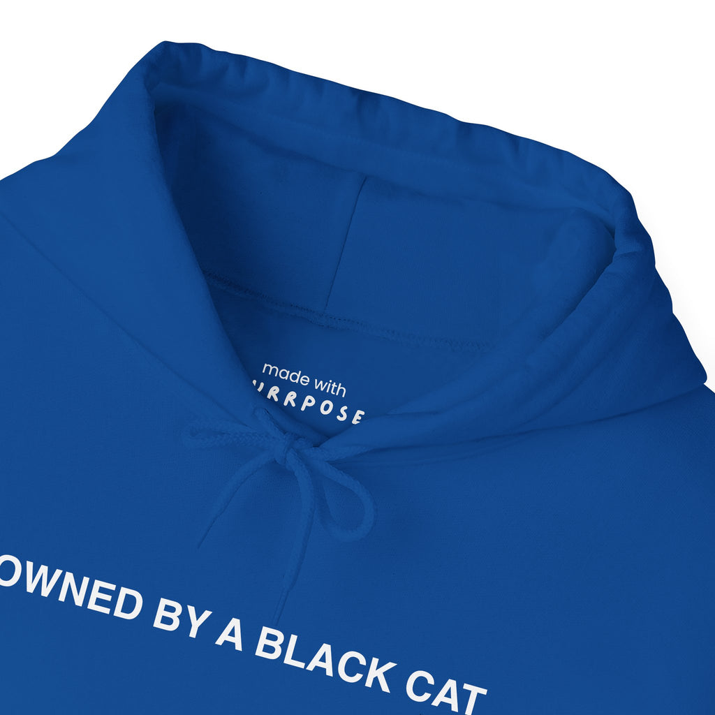 Owned By a Black Cat Hoodie