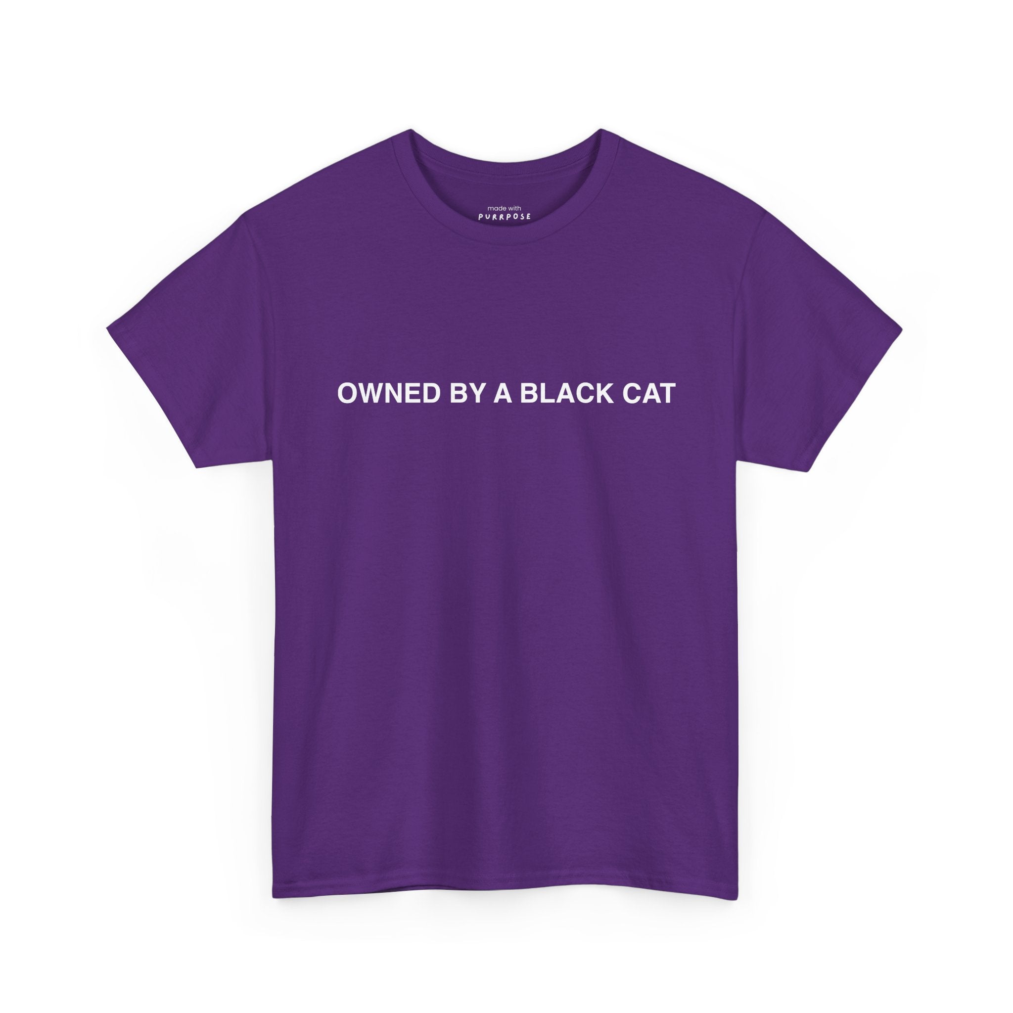 Owned by a Black Cat Tee