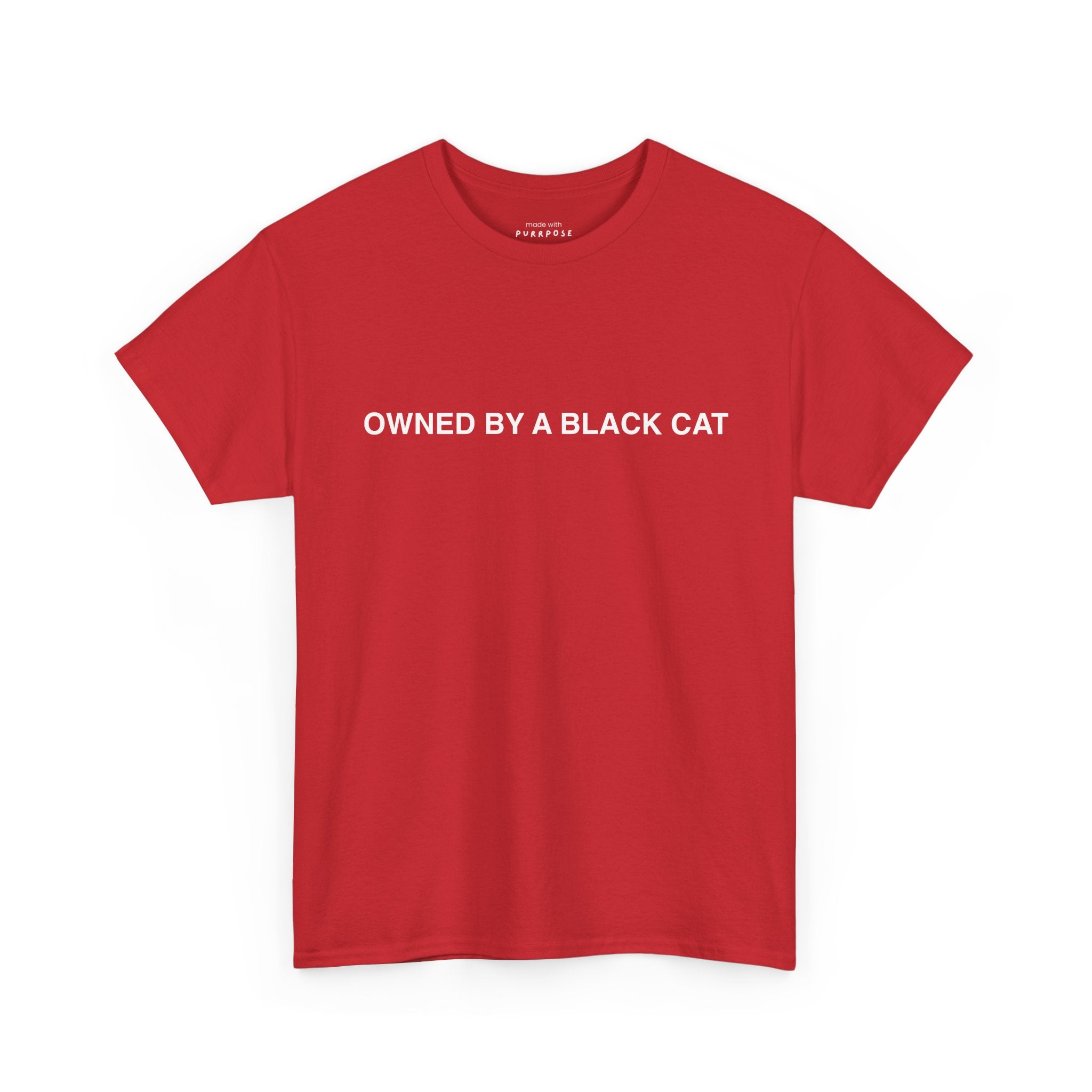 Owned by a Black Cat Tee
