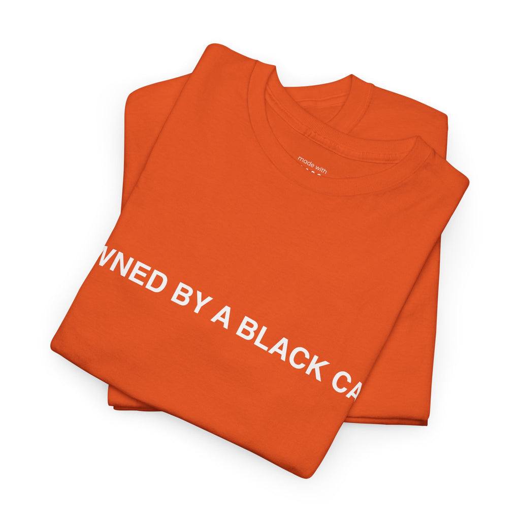 Owned by a Black Cat Tee