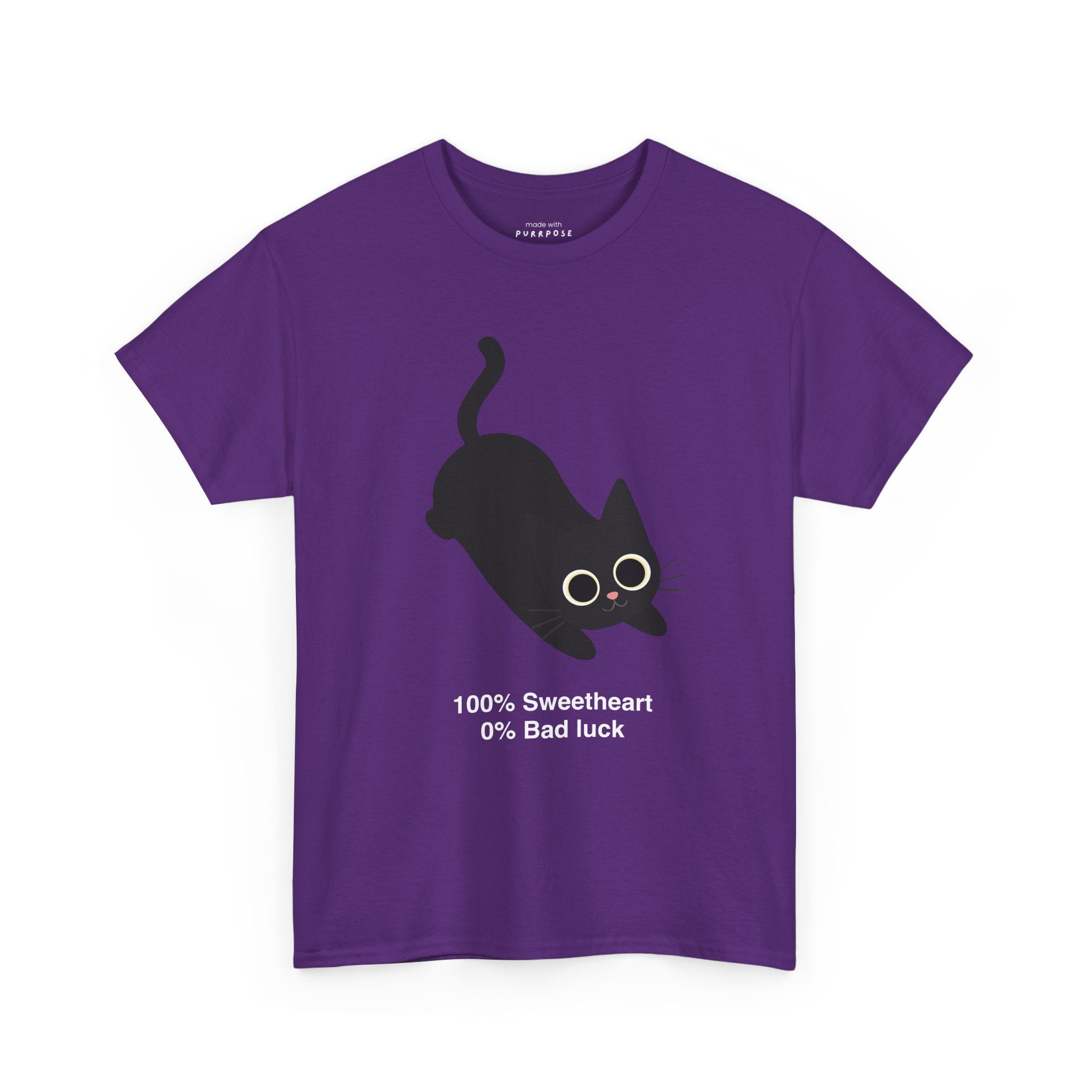 100% Sweetheart 0% Bad Luck T-Shirt