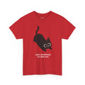 100% Sweetheart 0% Bad Luck T-Shirt