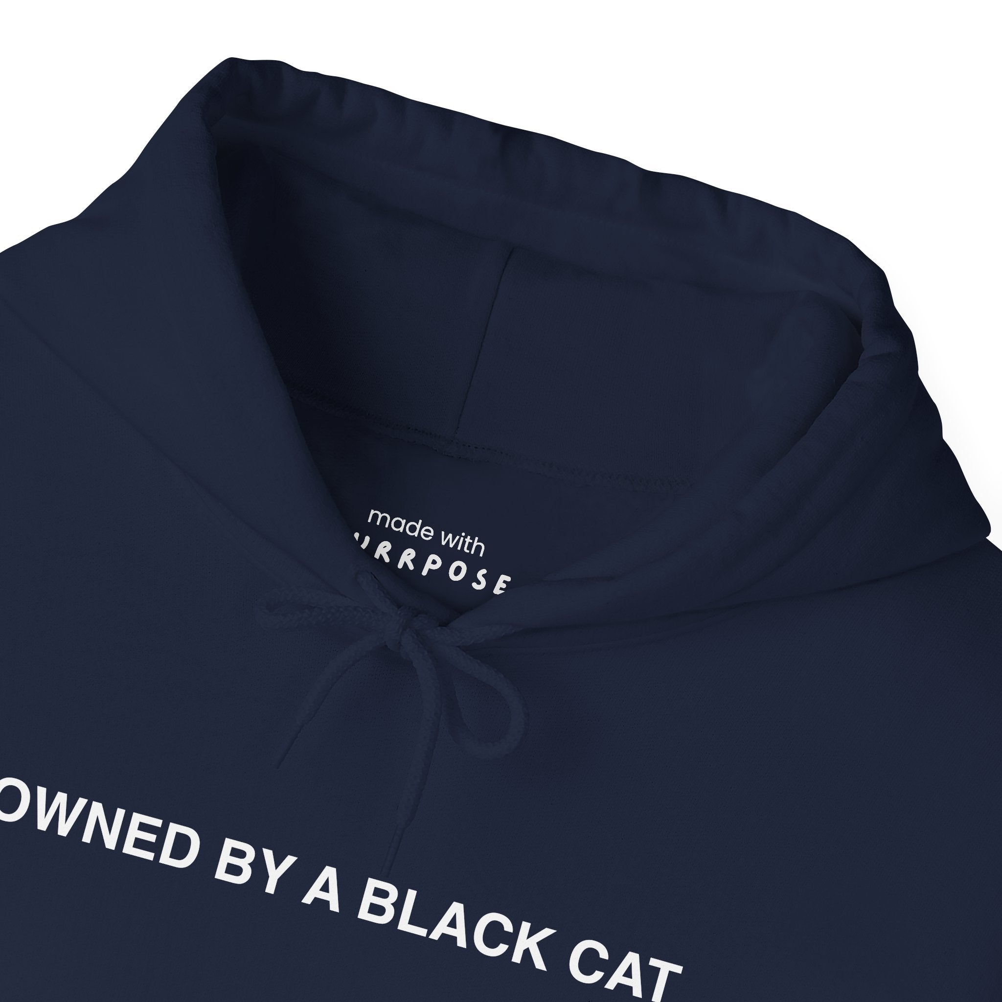 Owned By a Black Cat Hoodie