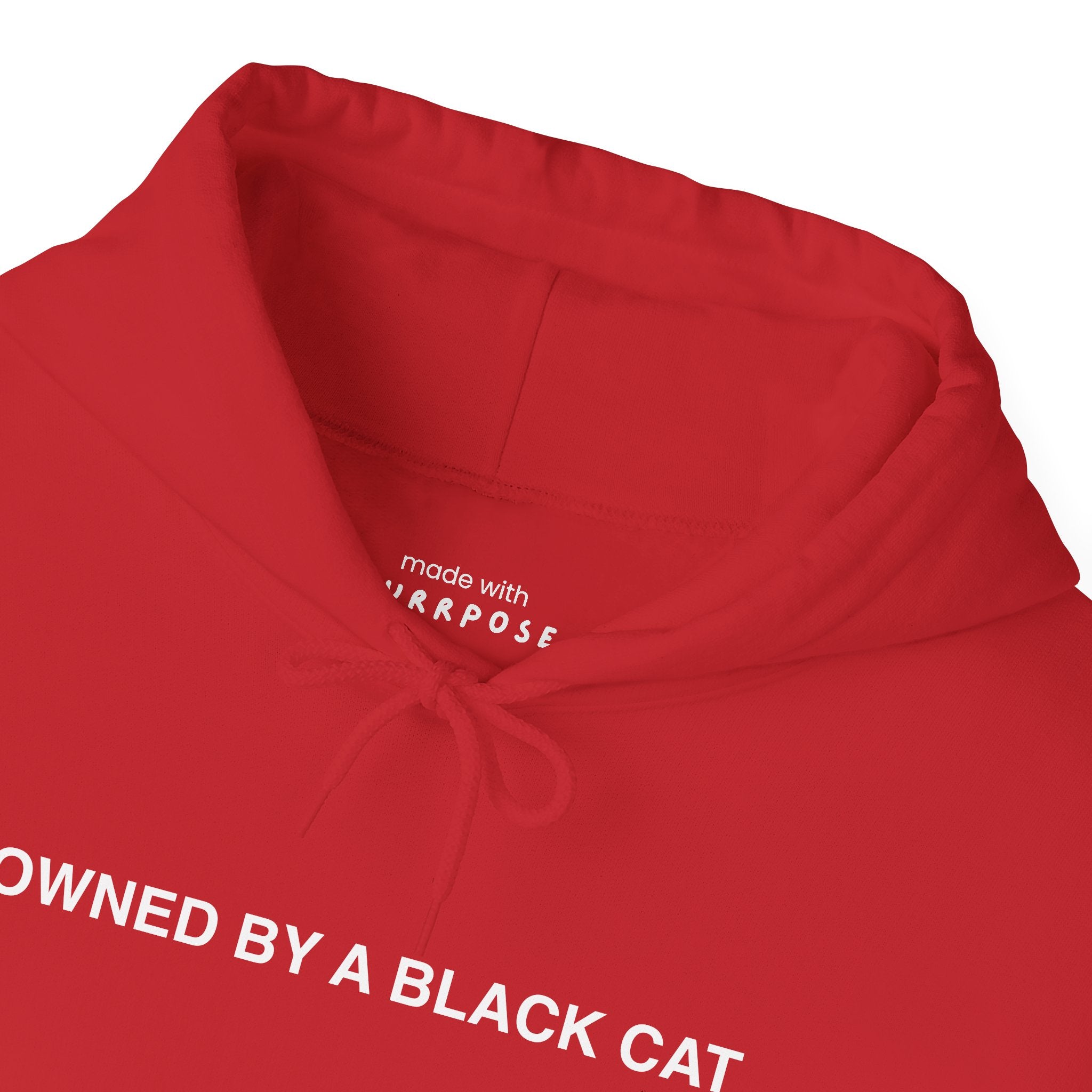 Owned By a Black Cat Hoodie