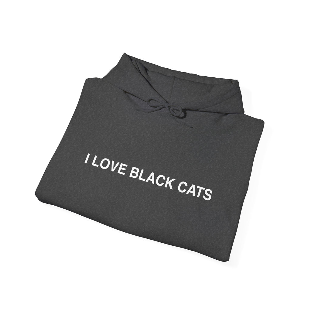 I Love Black Cats Hoodie