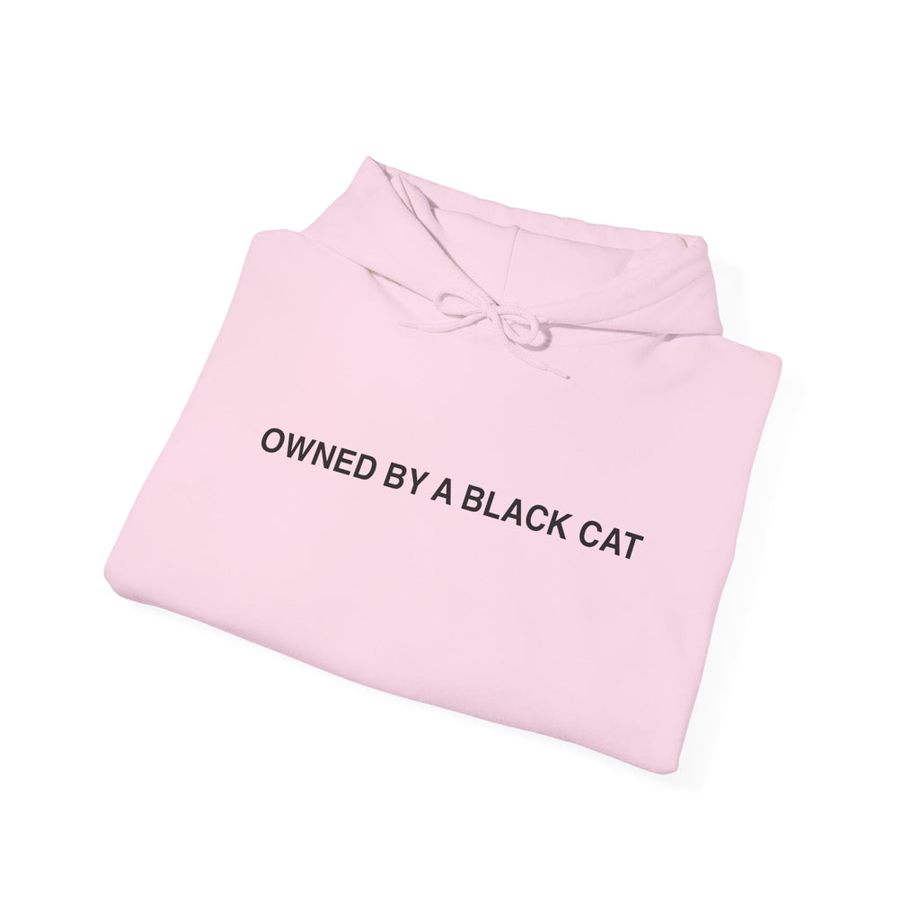 Owned By a Black Cat Hoodie