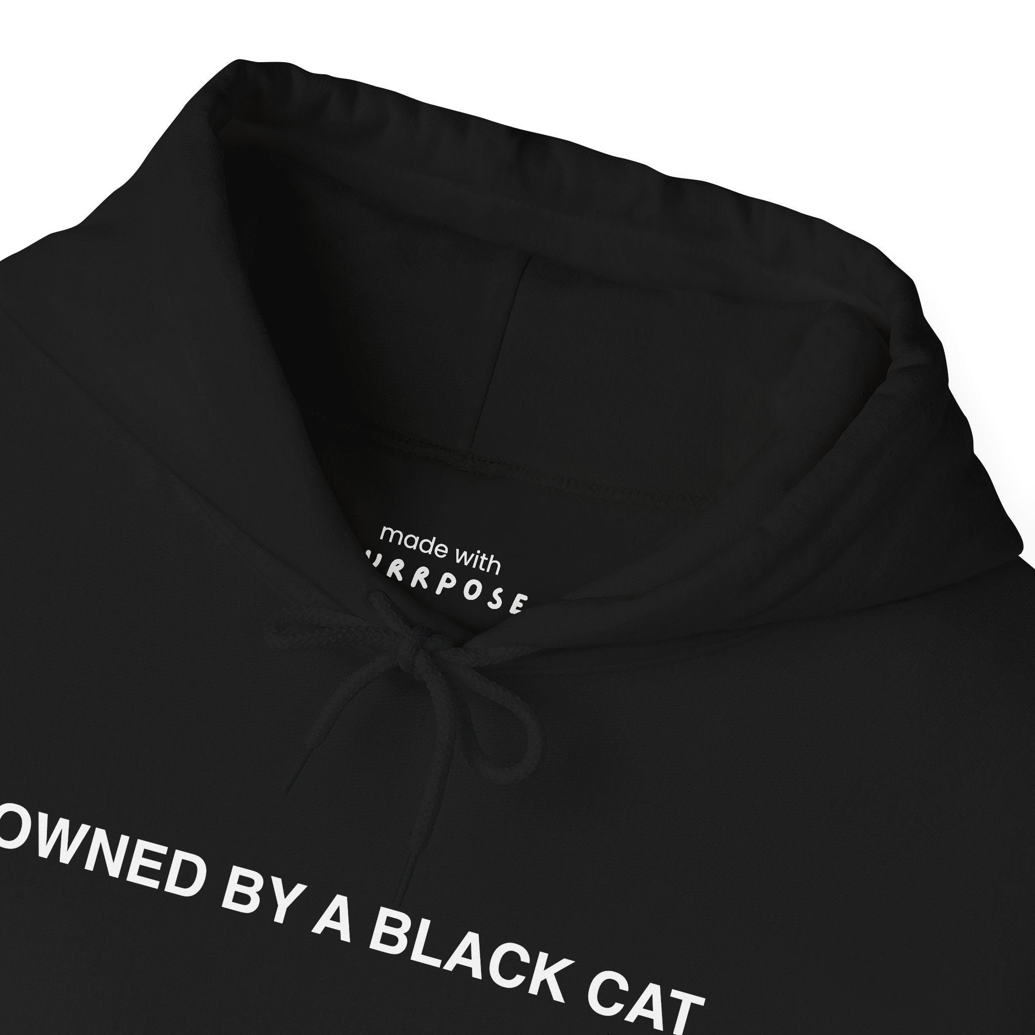 Owned By a Black Cat Hoodie
