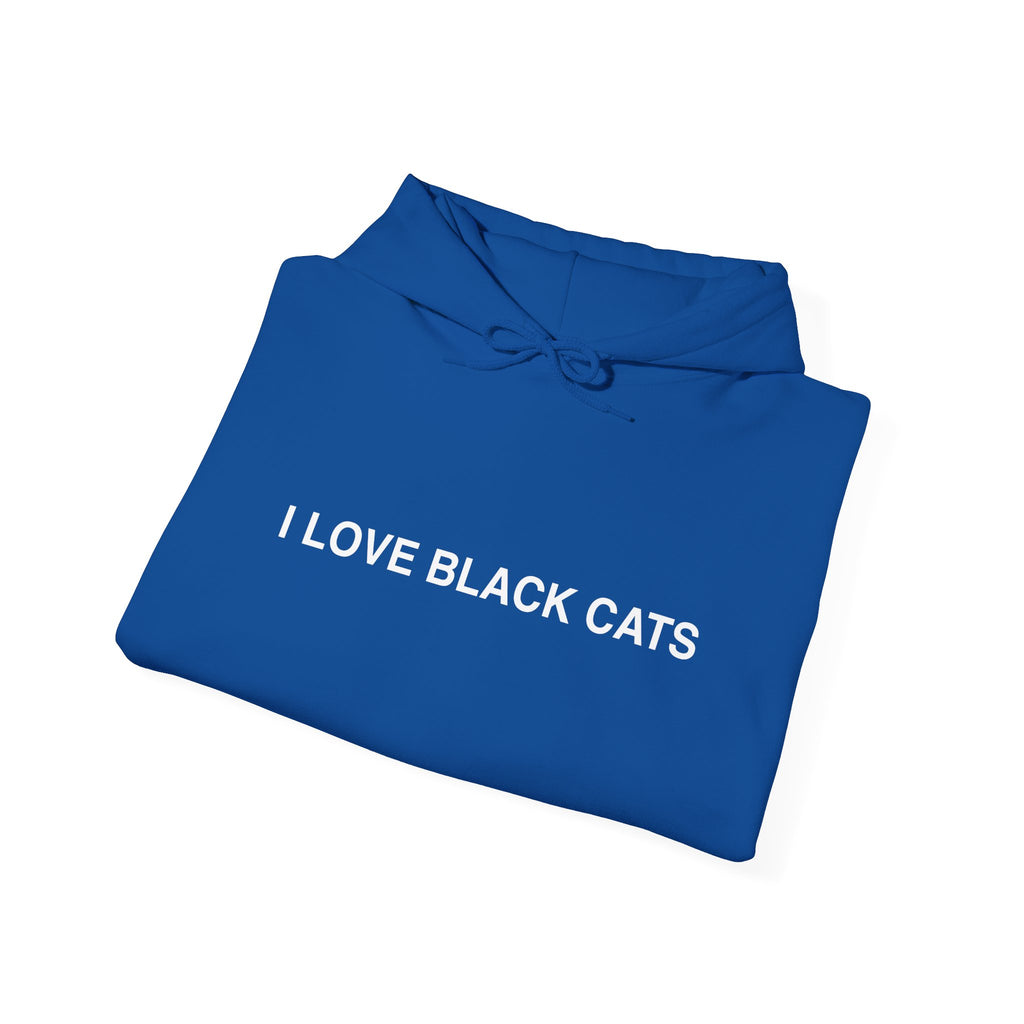 I Love Black Cats Hoodie