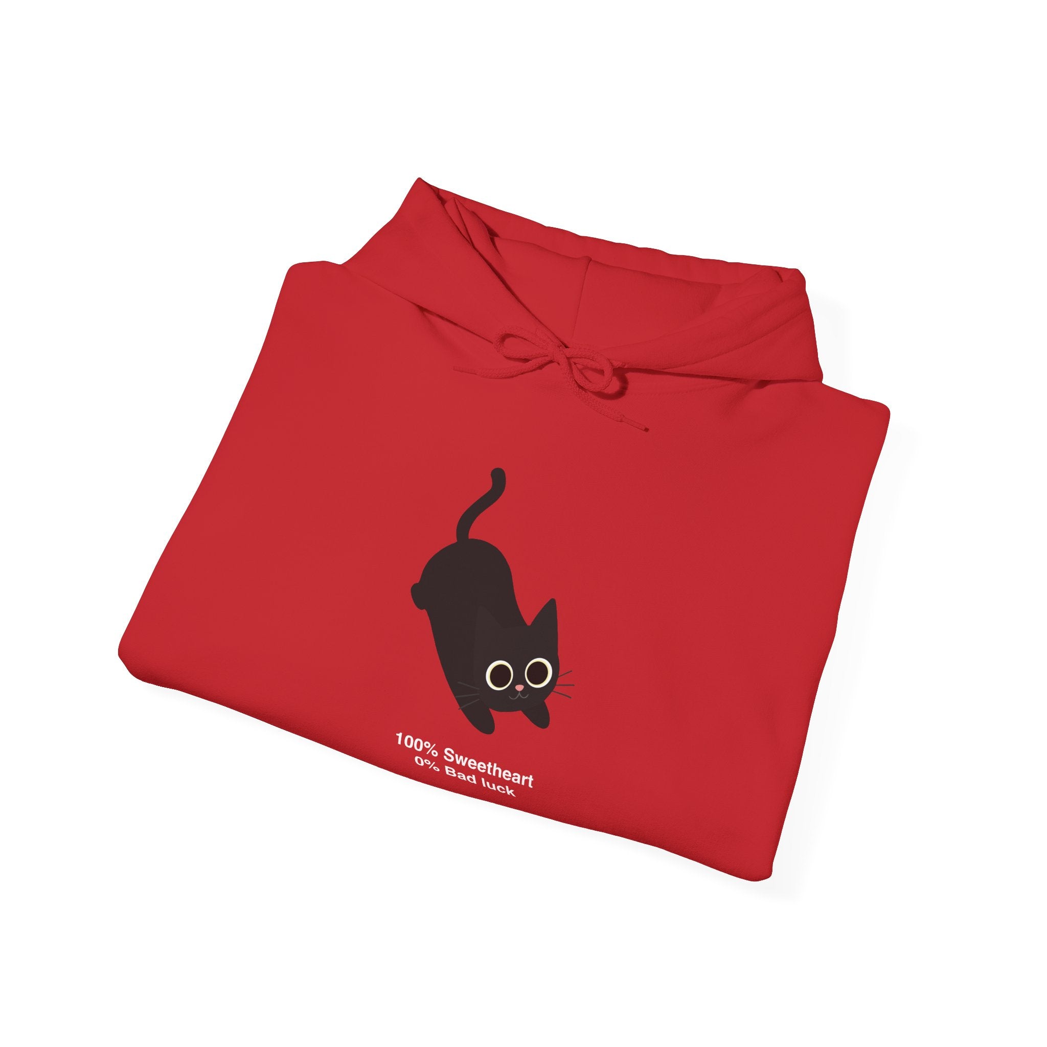 100% Sweetheart 0% Bad Luck Hoodie