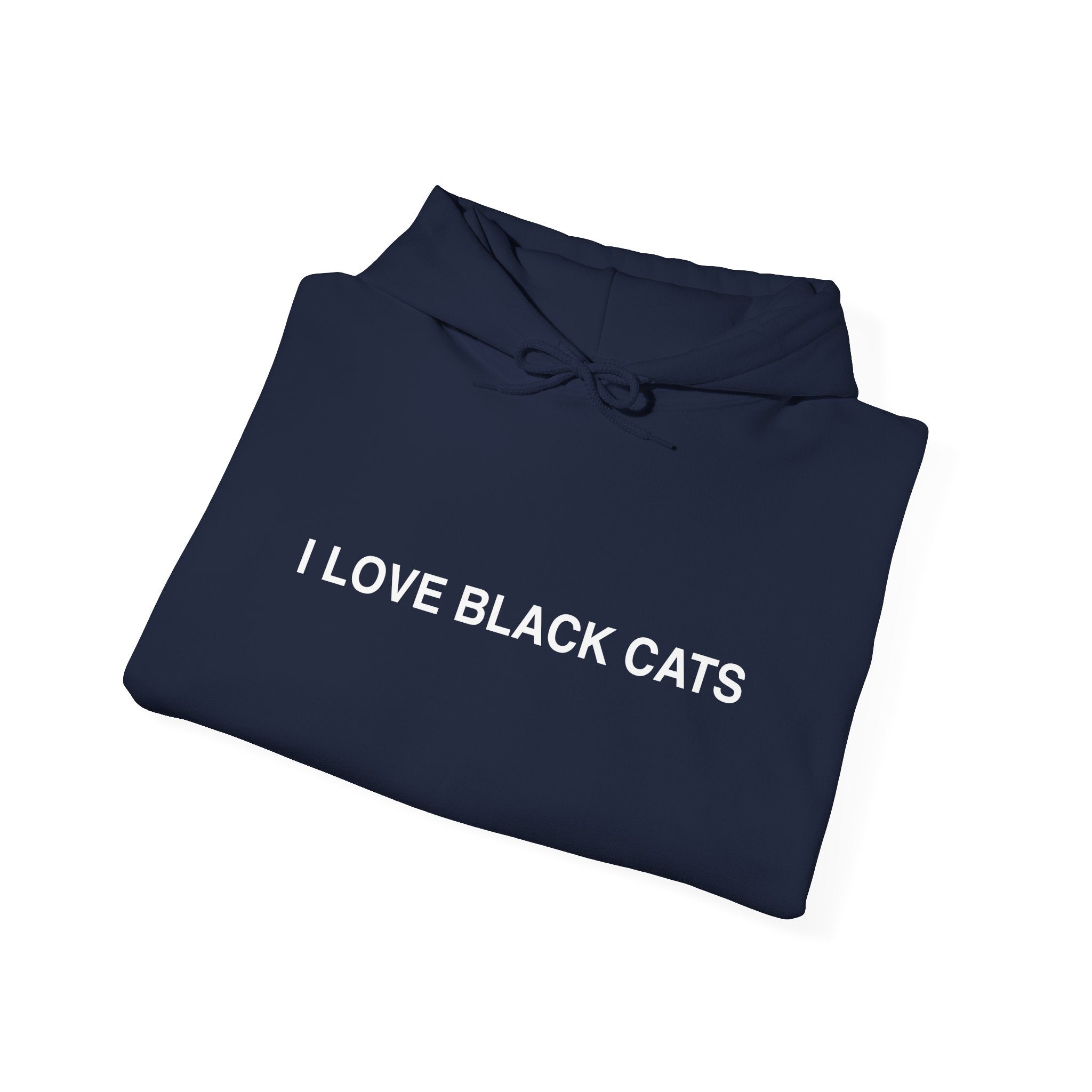 I Love Black Cats Hoodie