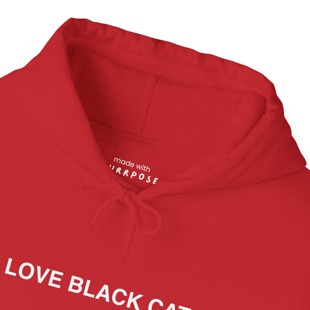 I Love Black Cats Hoodie