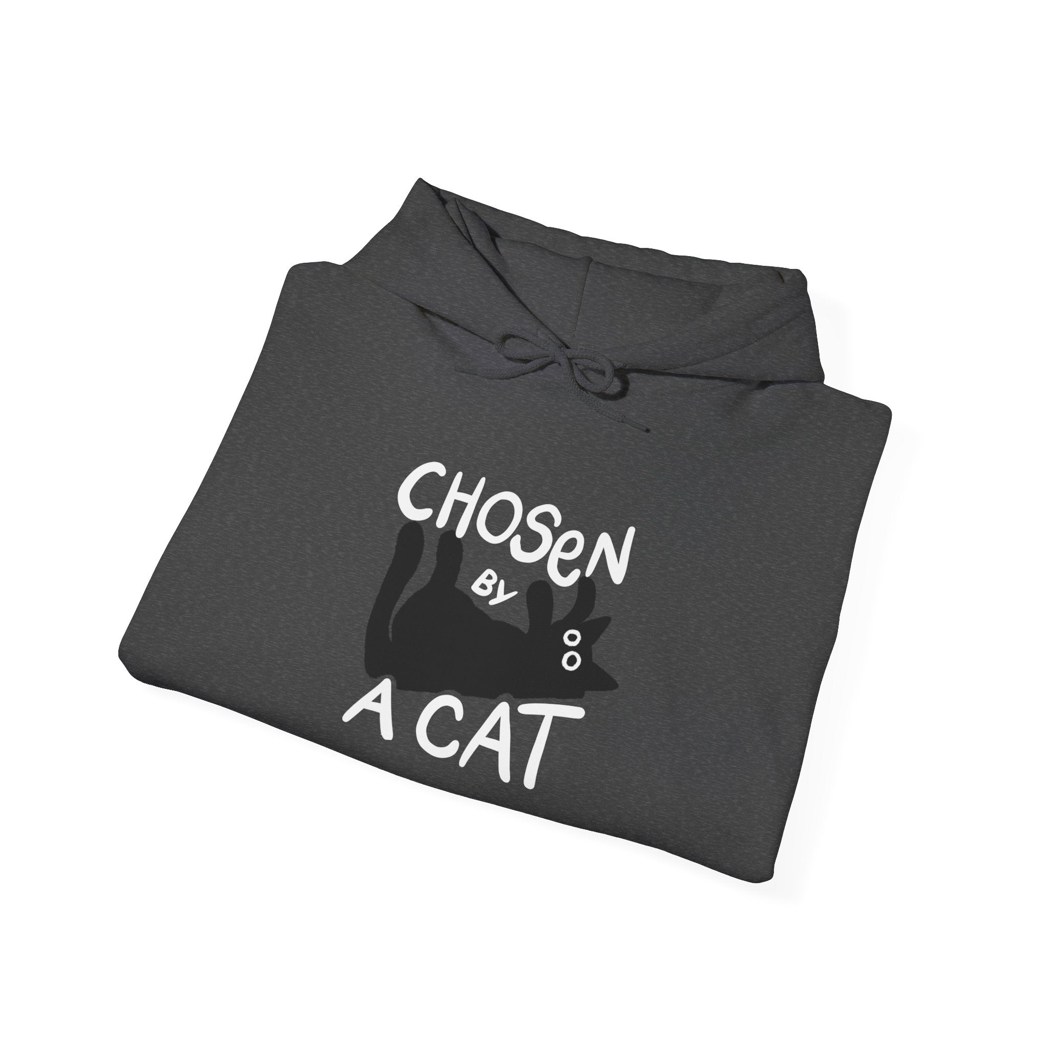 Chosen by a Cat Hoodie