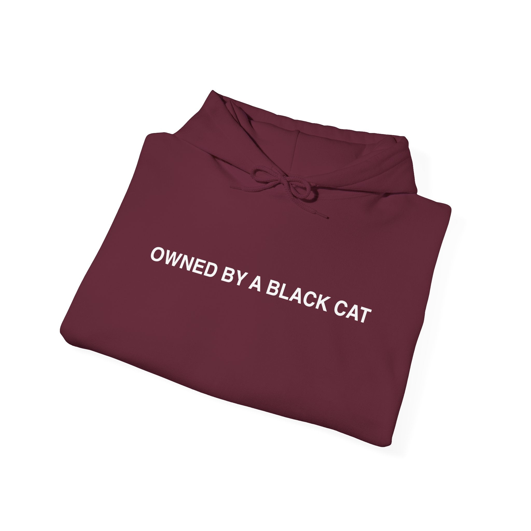 Owned By a Black Cat Hoodie