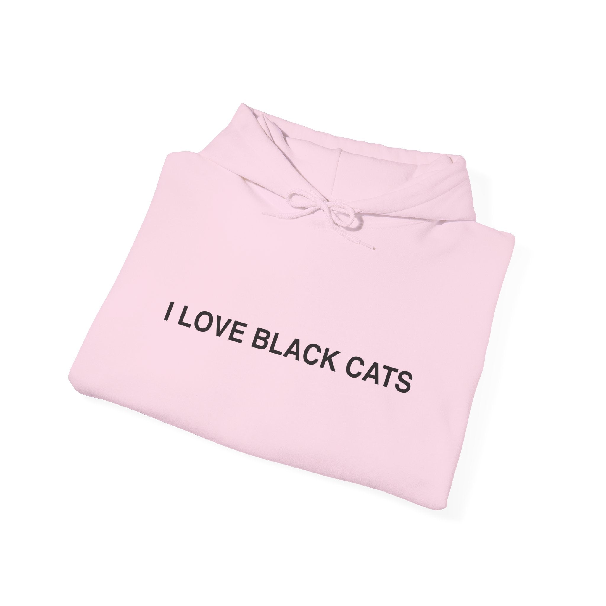 I Love Black Cats Hoodie
