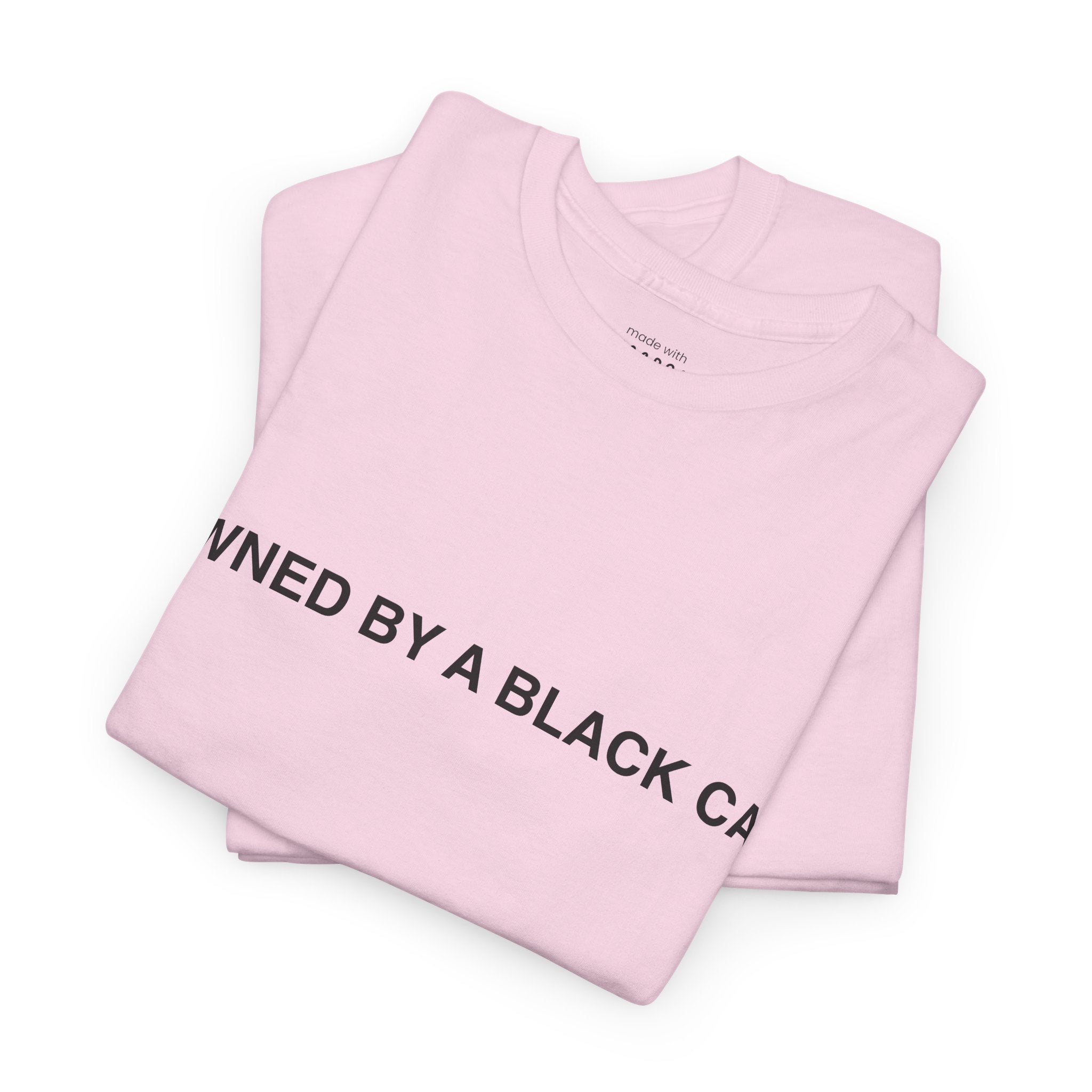 Owned by a Black Cat Tee