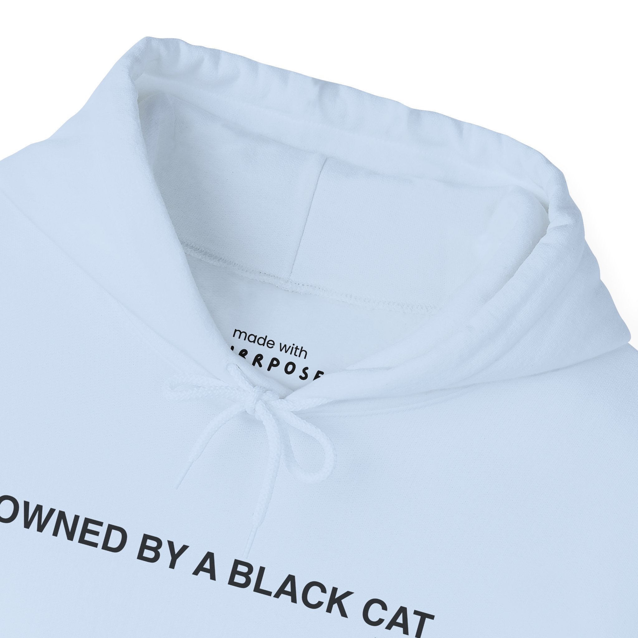 Owned By a Black Cat Hoodie