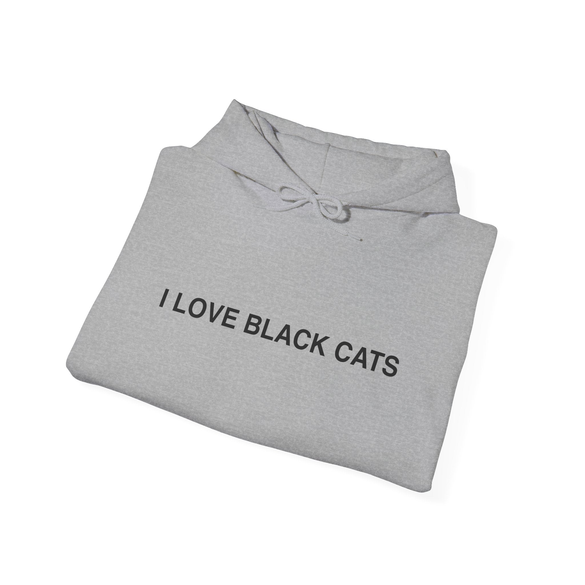 I Love Black Cats Hoodie