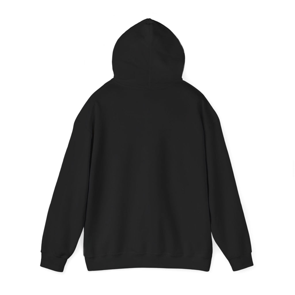 I Love Black Cats Hoodie