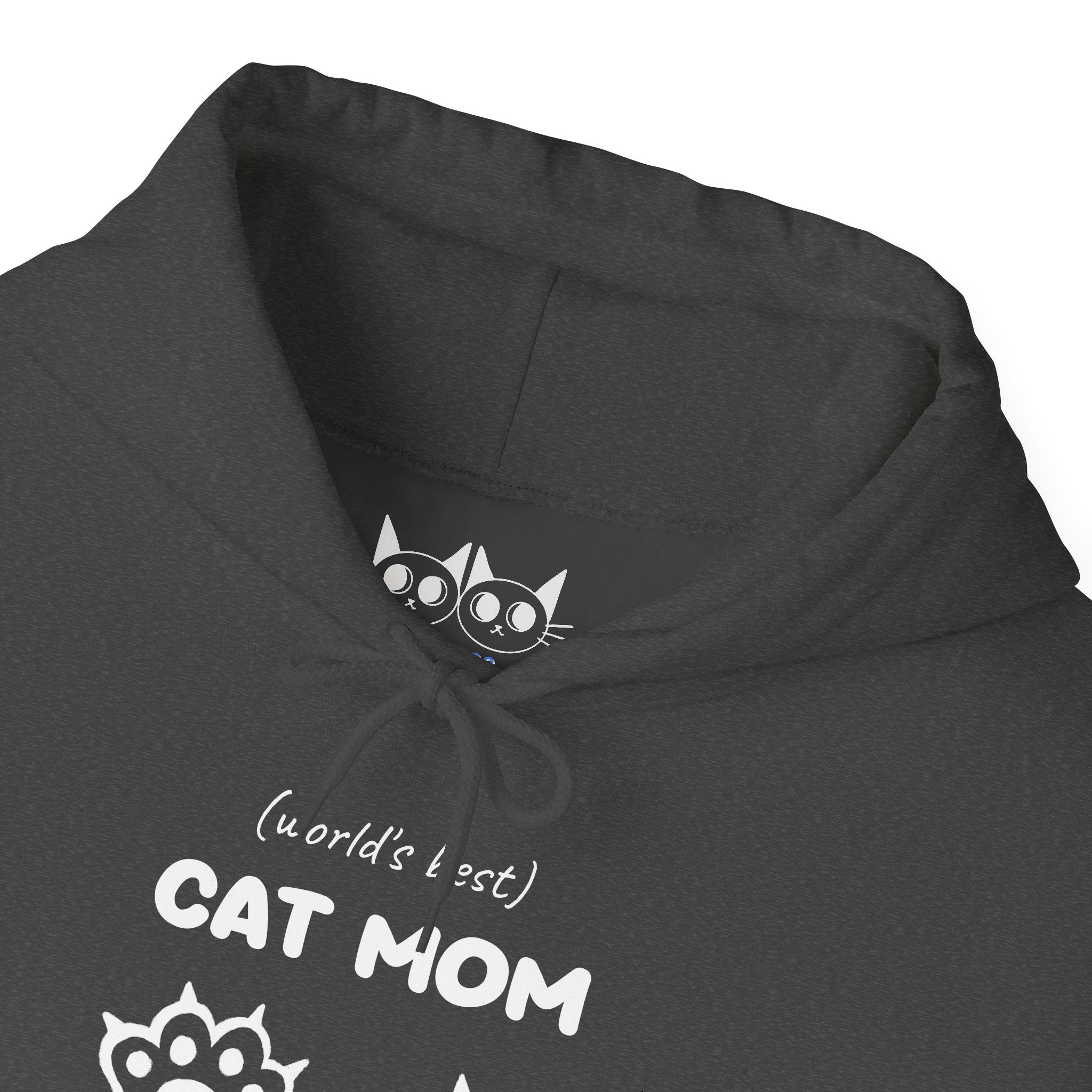 World's Best Cat Mom Hoodie