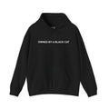 Owned By a Black Cat Hoodie
