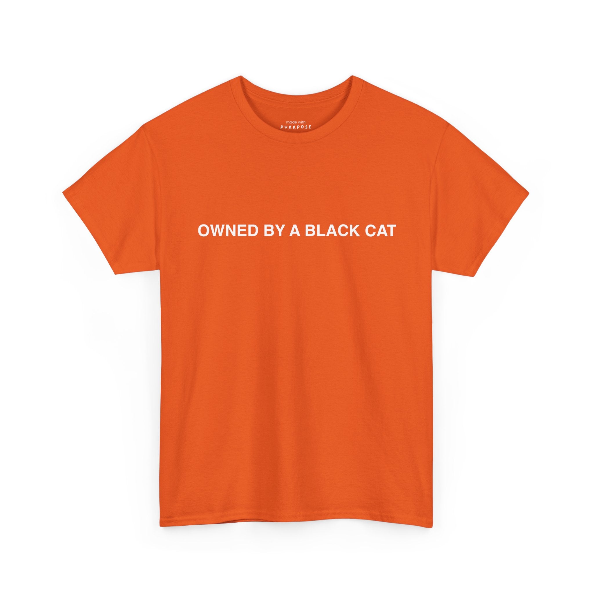 Owned by a Black Cat Tee