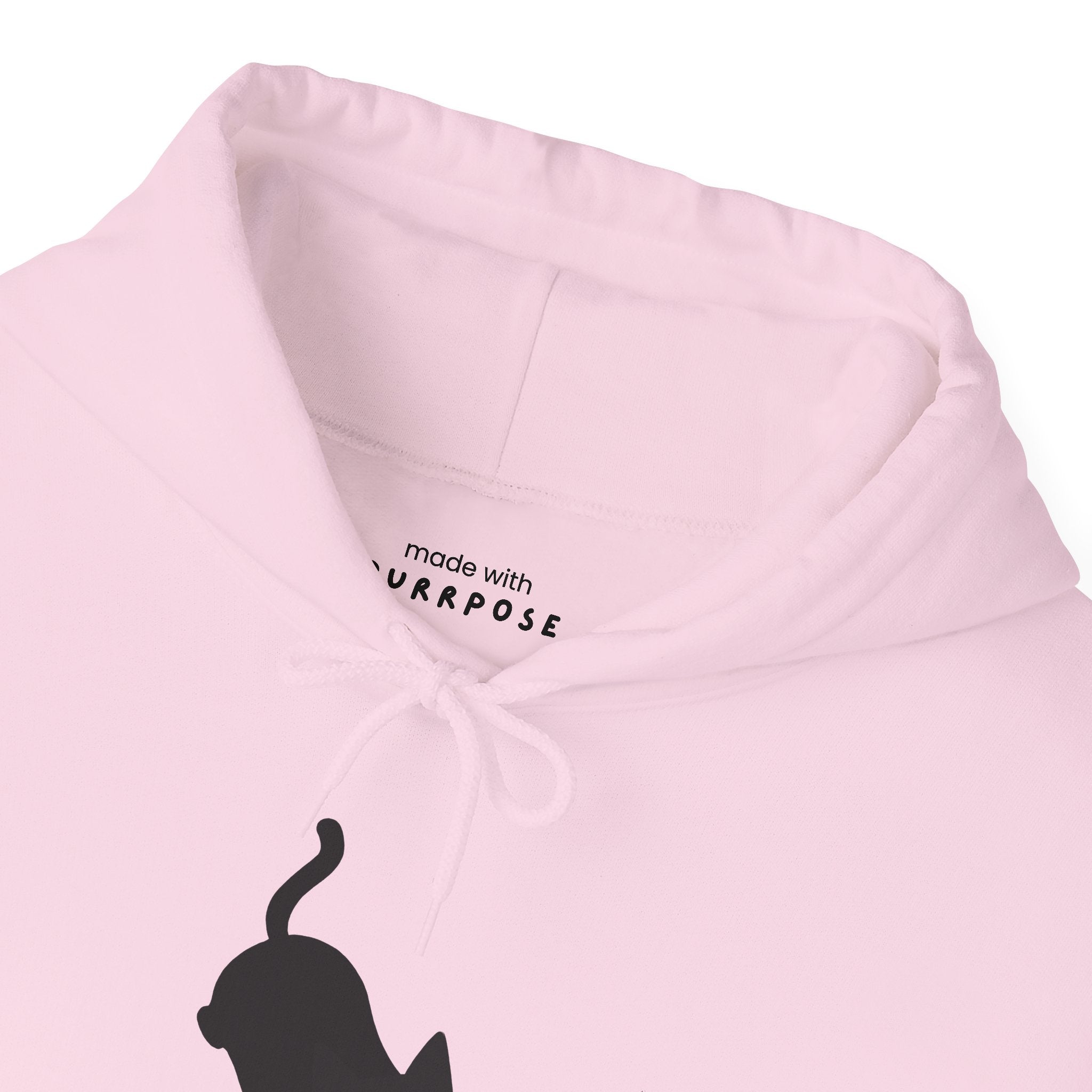100% Sweetheart 0% Bad Luck Hoodie