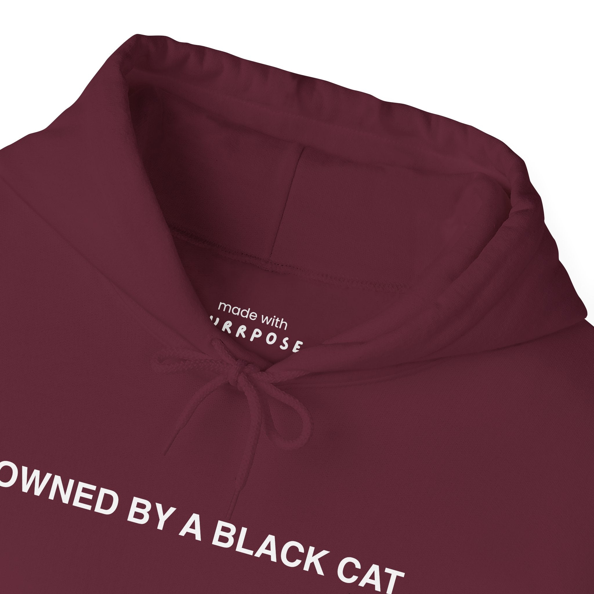 Owned By a Black Cat Hoodie
