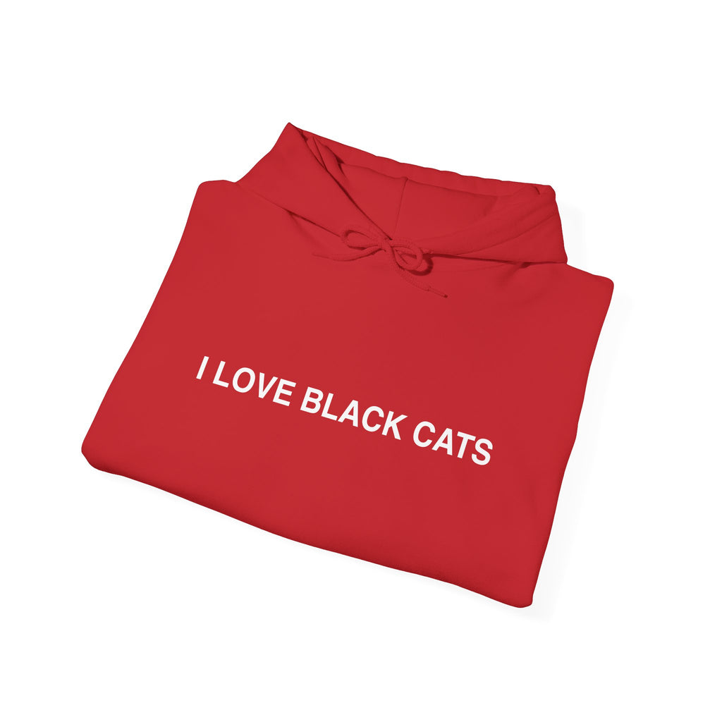 I Love Black Cats Hoodie