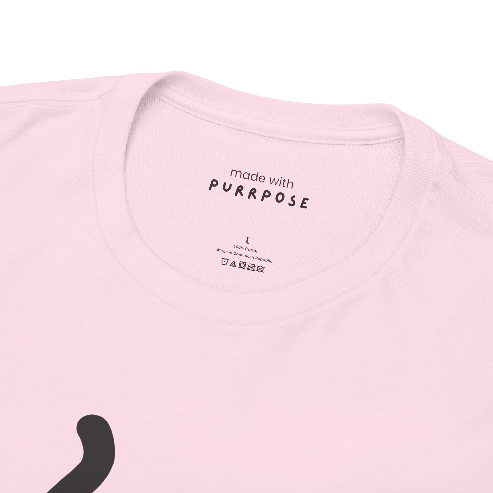 100% Sweetheart 0% Bad Luck T-Shirt