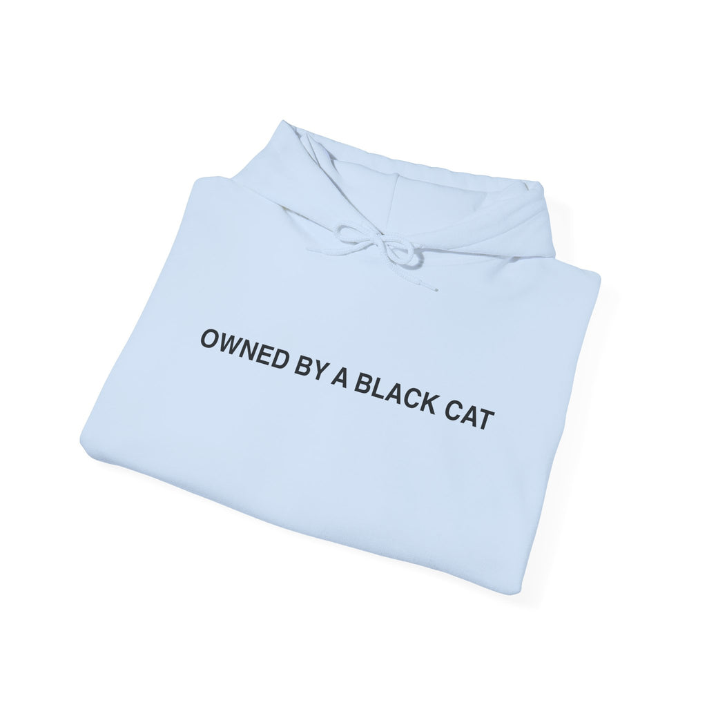 Owned By a Black Cat Hoodie
