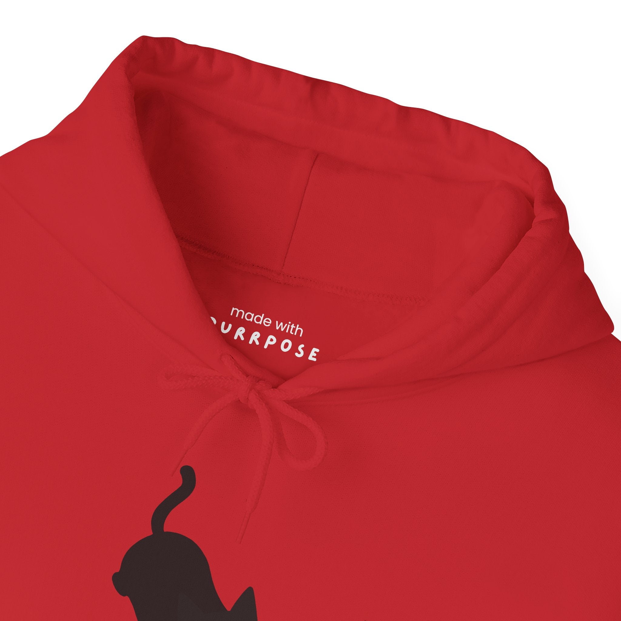 100% Sweetheart 0% Bad Luck Hoodie