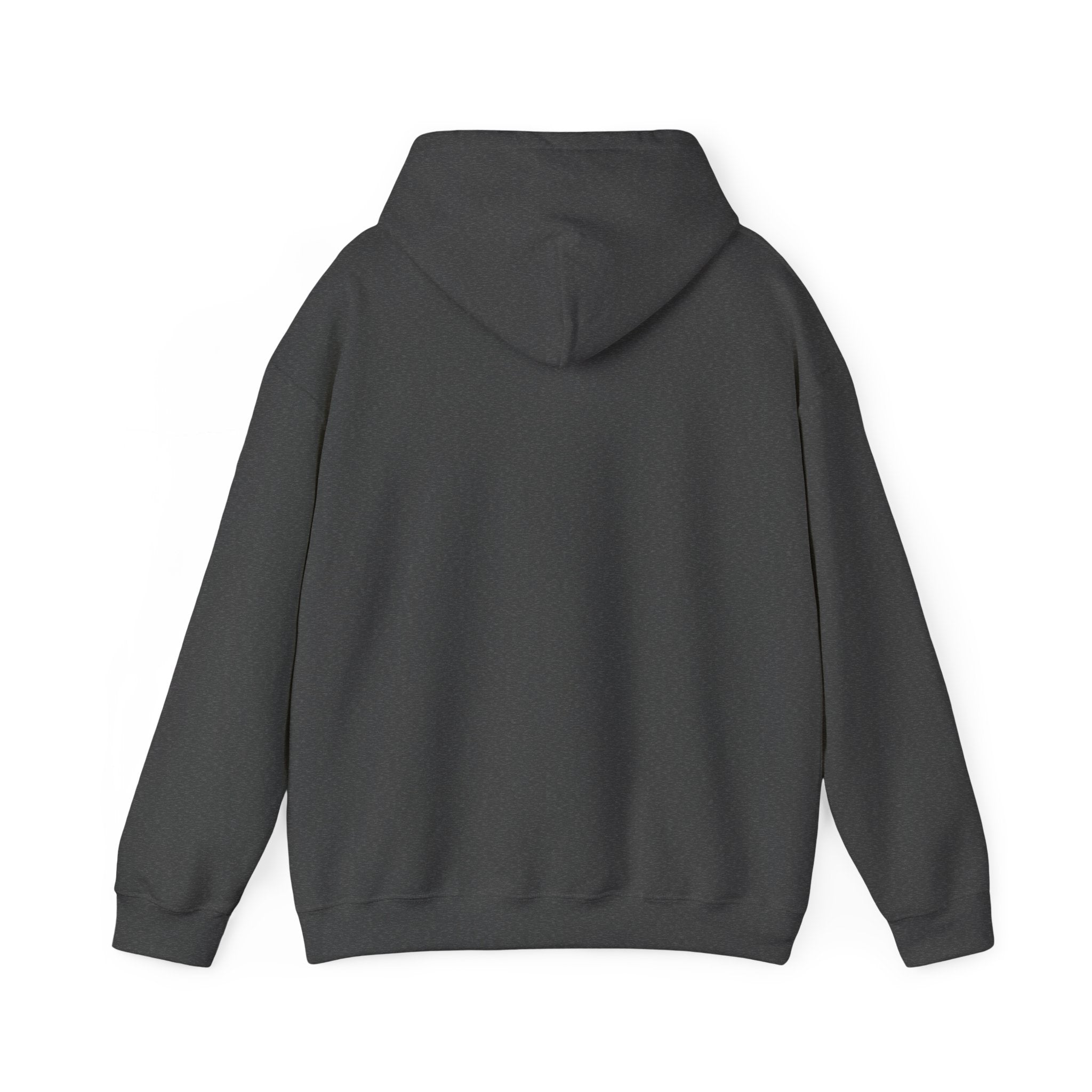 100% Sweetheart 0% Bad Luck Hoodie
