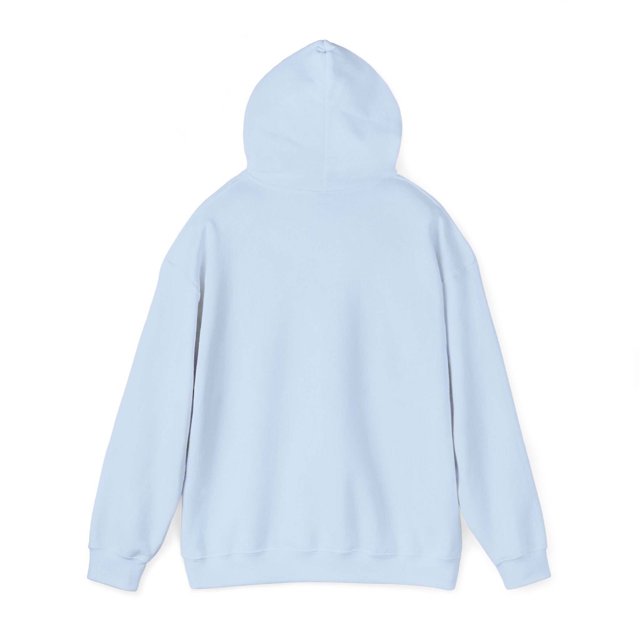 World's Best Cat Dad Hoodie