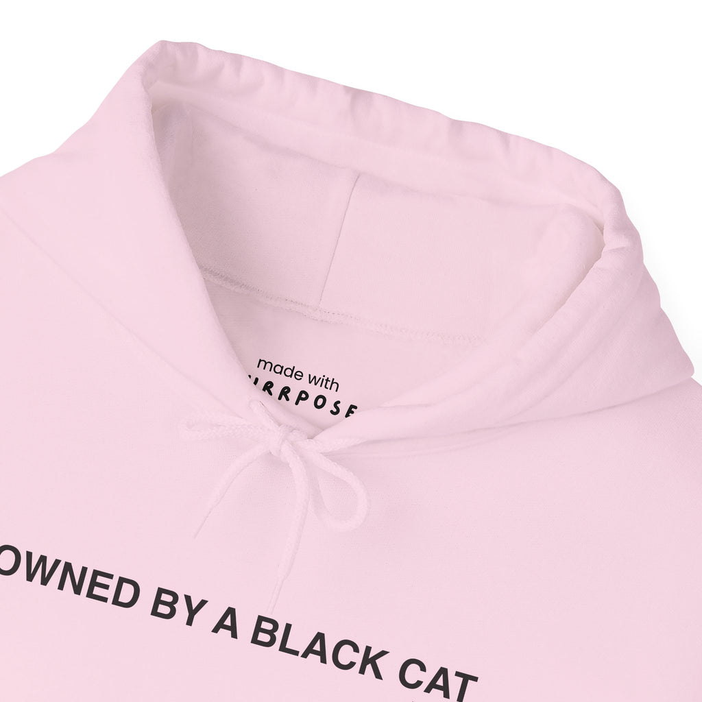 Owned By a Black Cat Hoodie