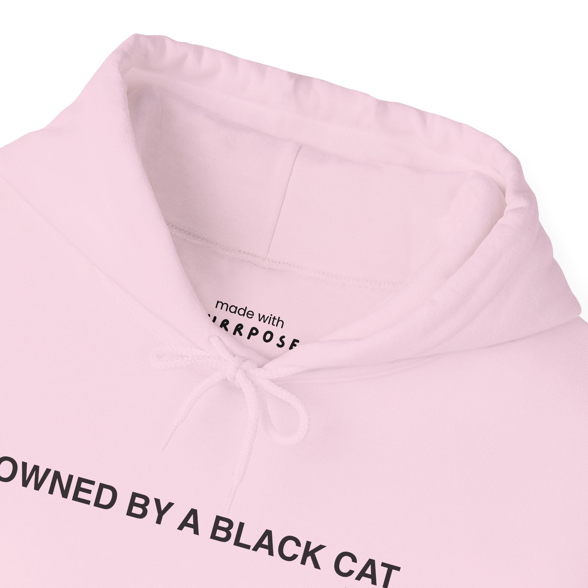 Owned By a Black Cat Hoodie