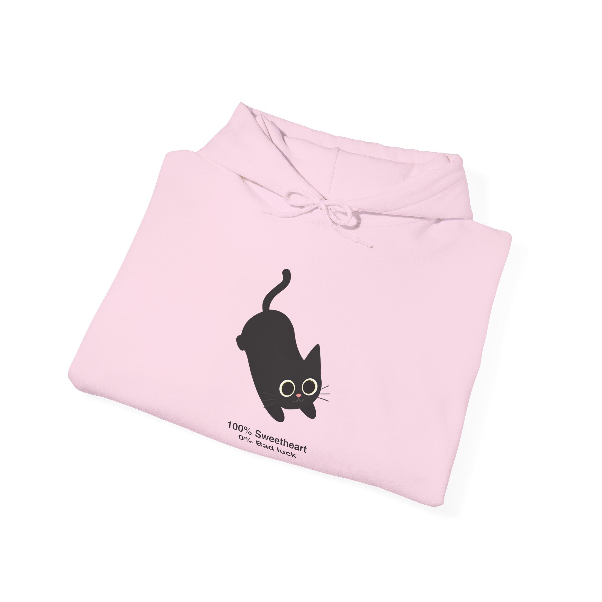 100% Sweetheart 0% Bad Luck Hoodie