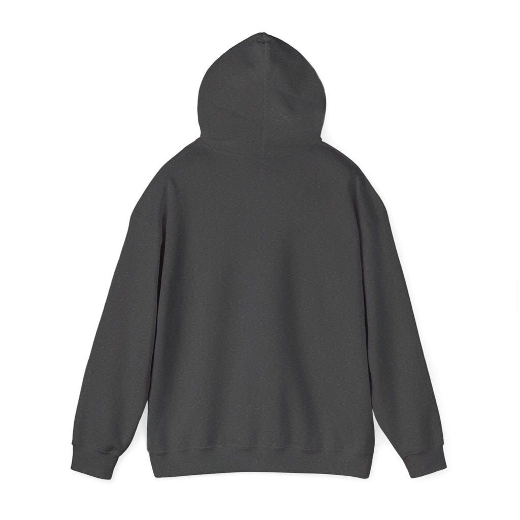 100% Sweetheart 0% Bad Luck Hoodie