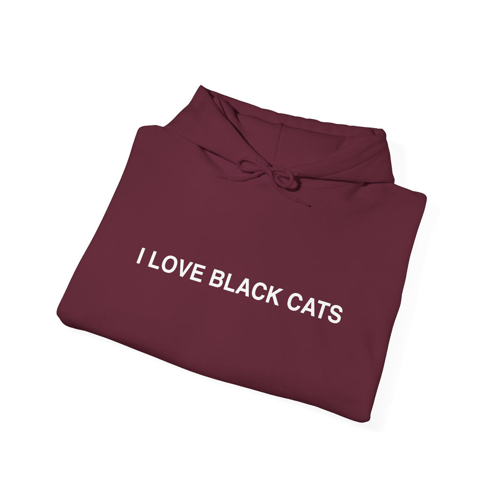 I Love Black Cats Hoodie
