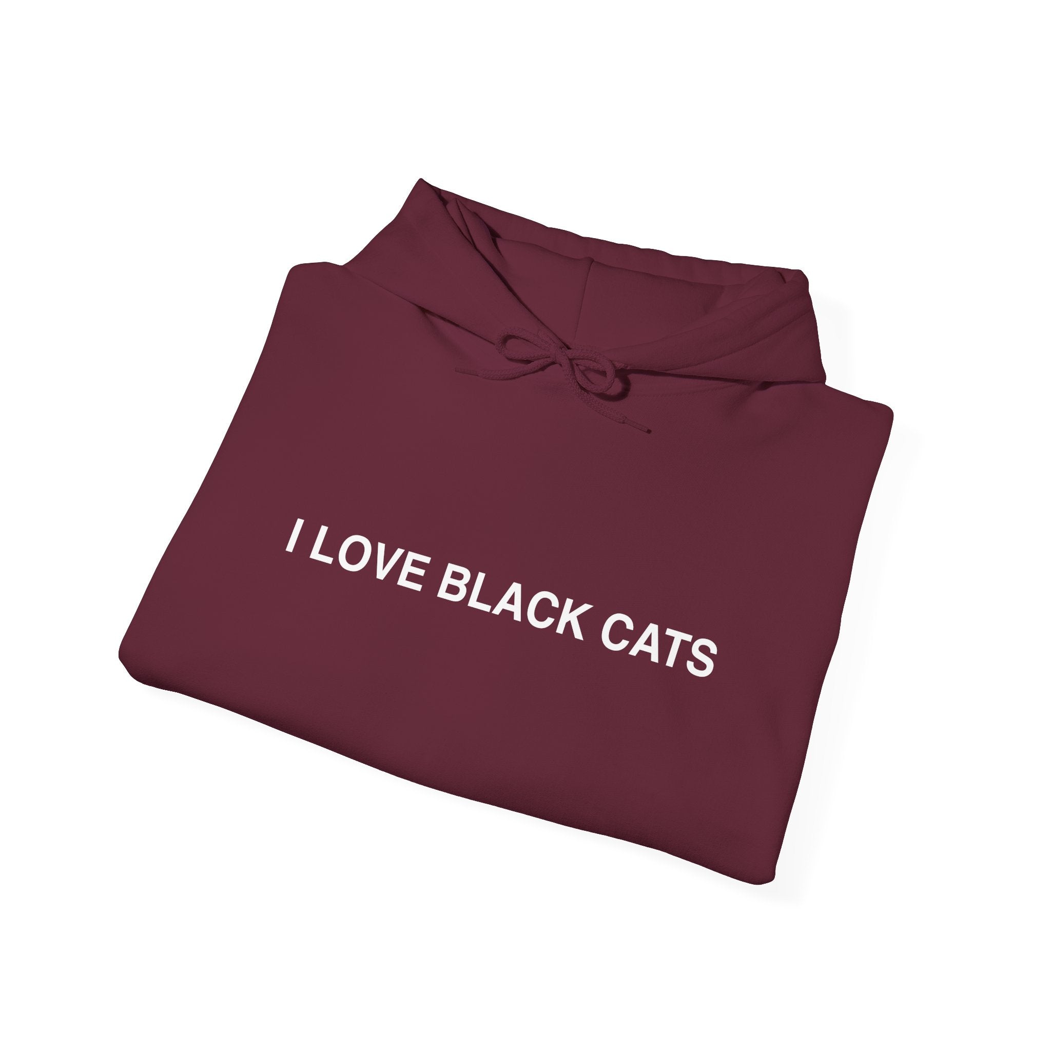 I Love Black Cats Hoodie