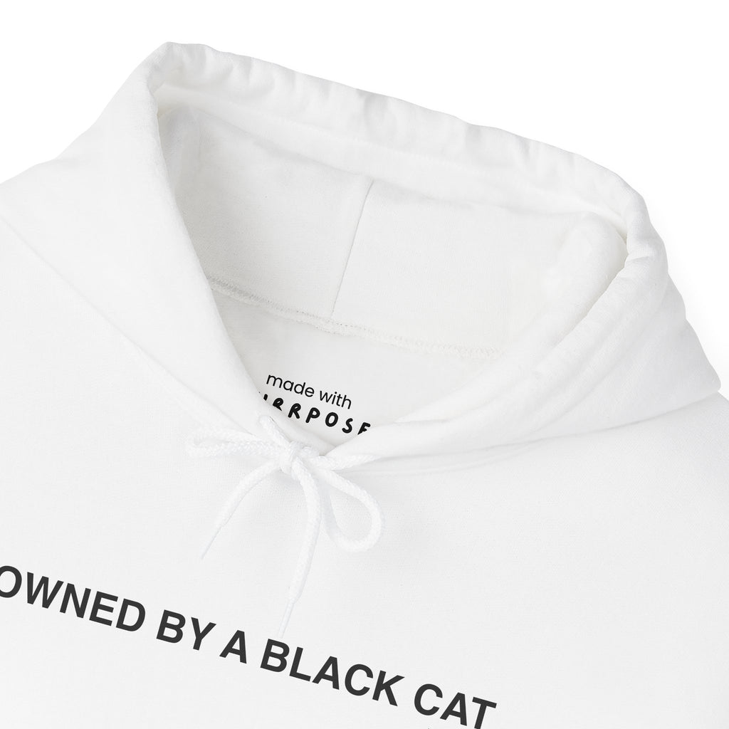 Owned By a Black Cat Hoodie
