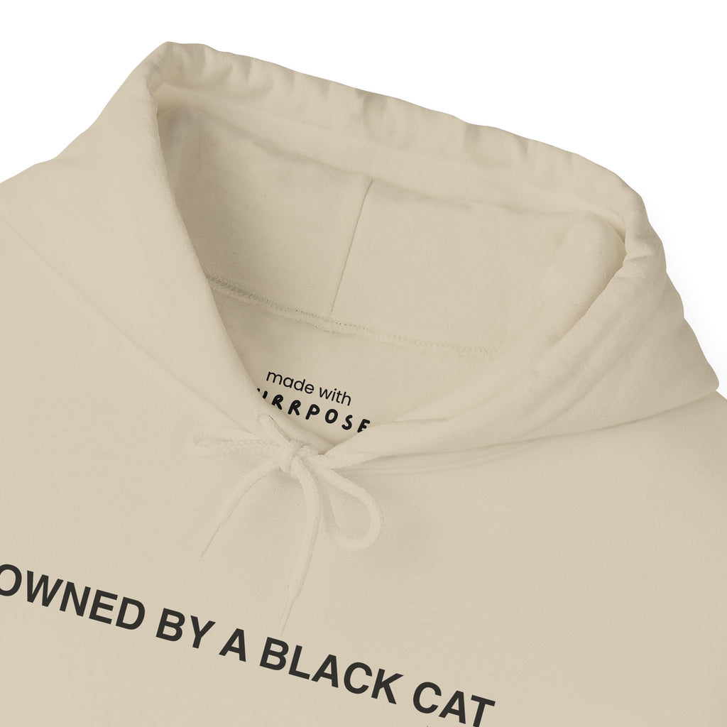 Owned By a Black Cat Hoodie
