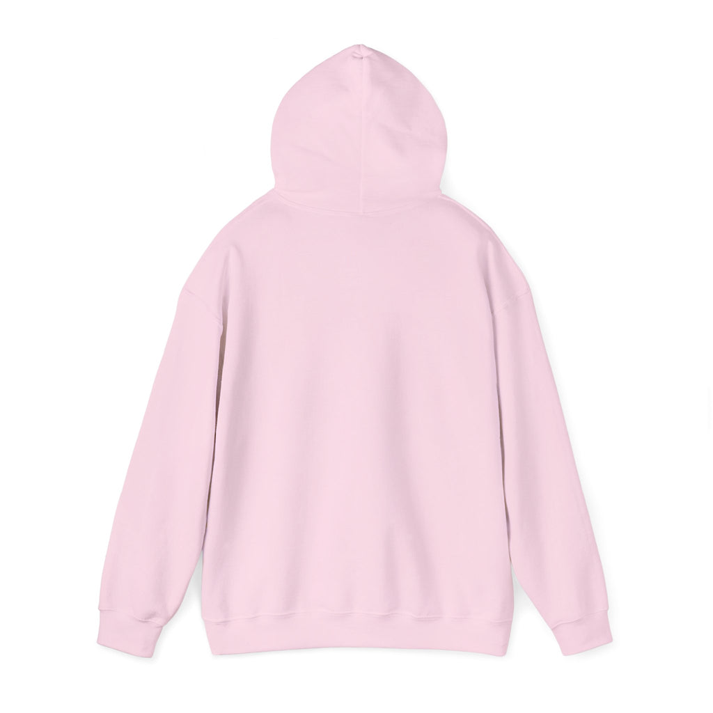 I Love Black Cats Hoodie