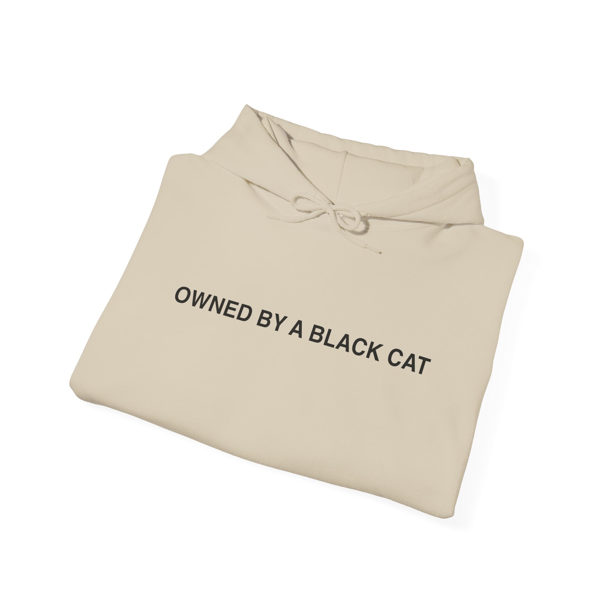 Owned By a Black Cat Hoodie