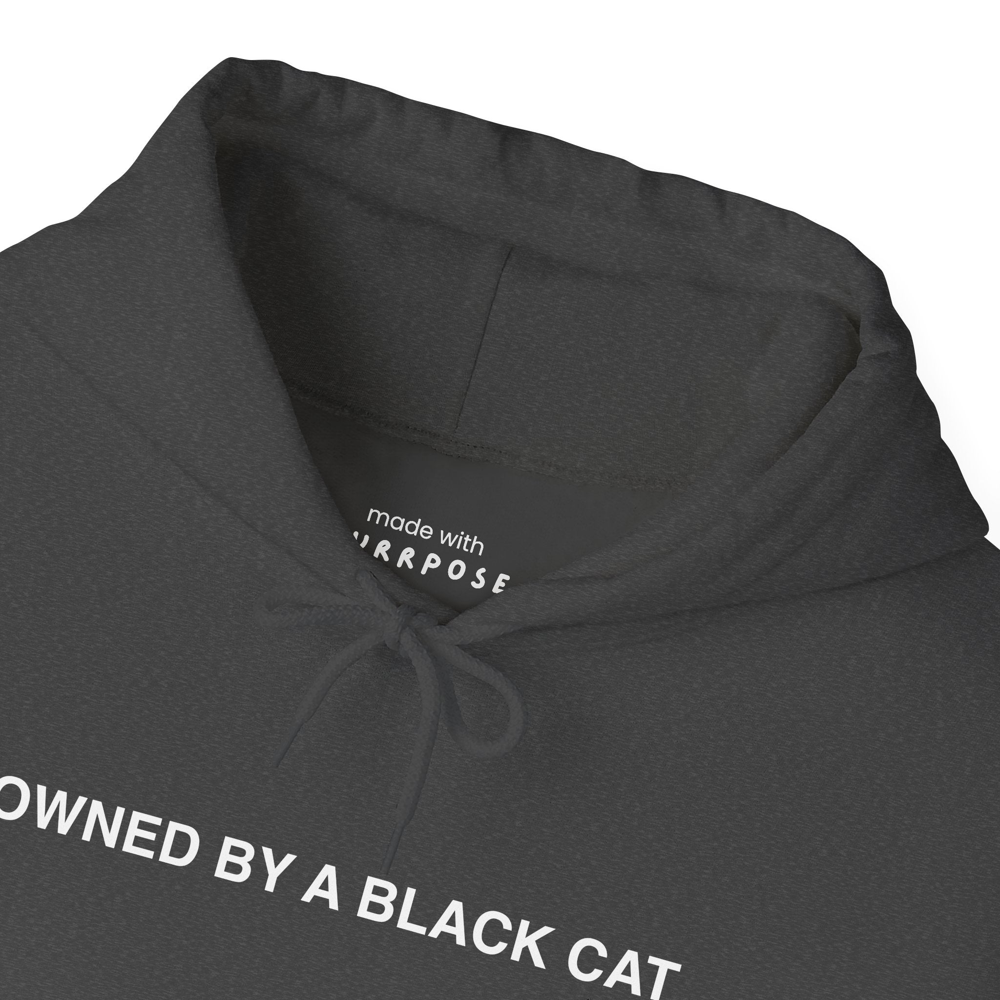 Owned By a Black Cat Hoodie