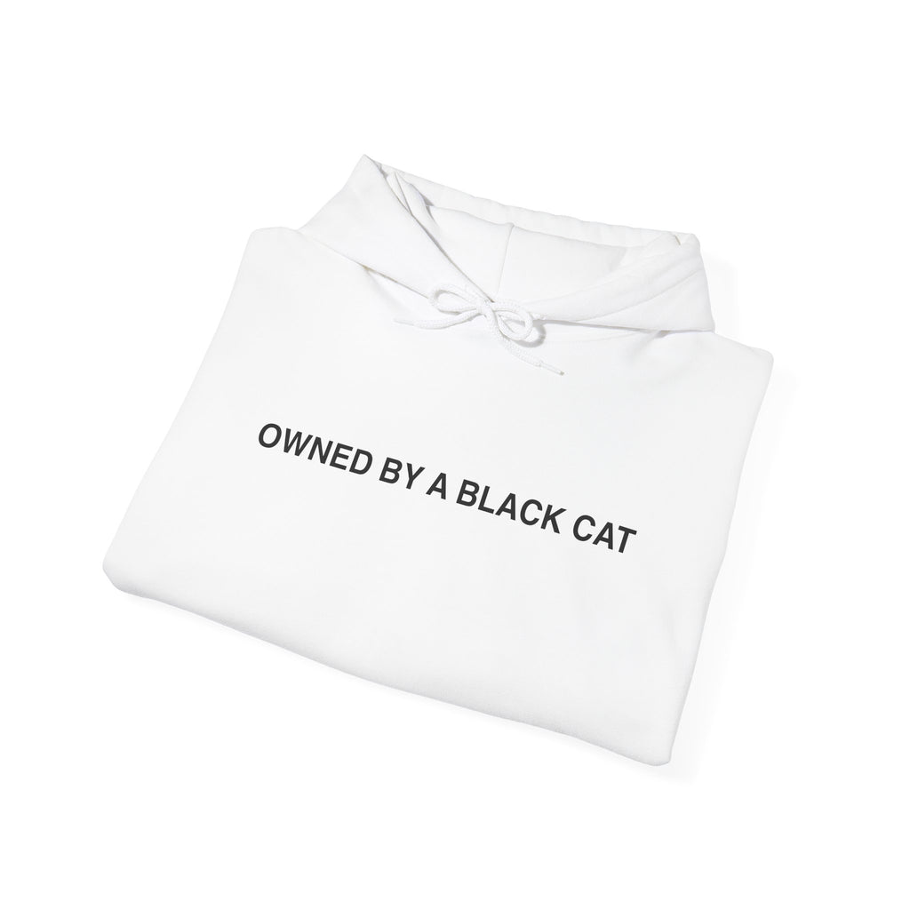 Owned By a Black Cat Hoodie